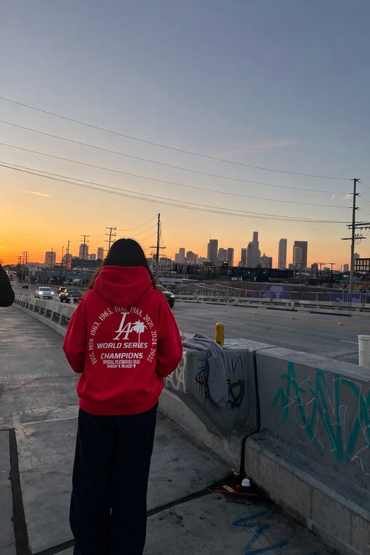 PMC WSC Hoodie